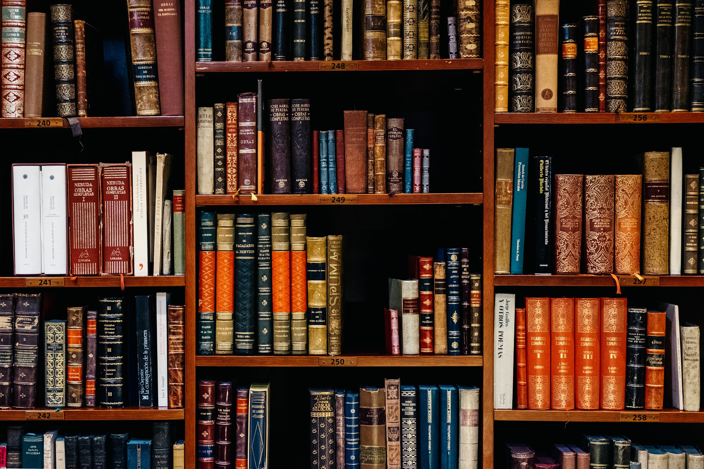 Zur Seite: Publikationen